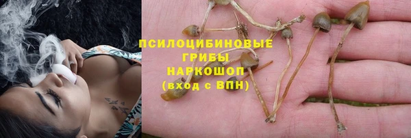 таблы Кукмор
