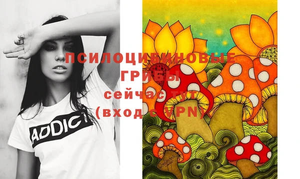 молекула духа Куйбышев