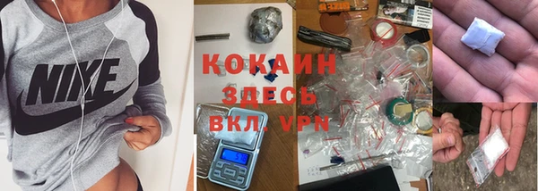 молекула духа Куйбышев