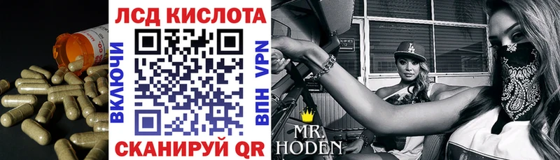 дарнет шоп  Можайск  Лсд 25 экстази кислота 