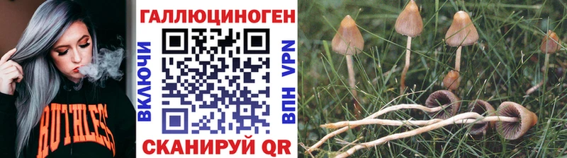 где найти Можайск Галлюциногенные грибы мицелий