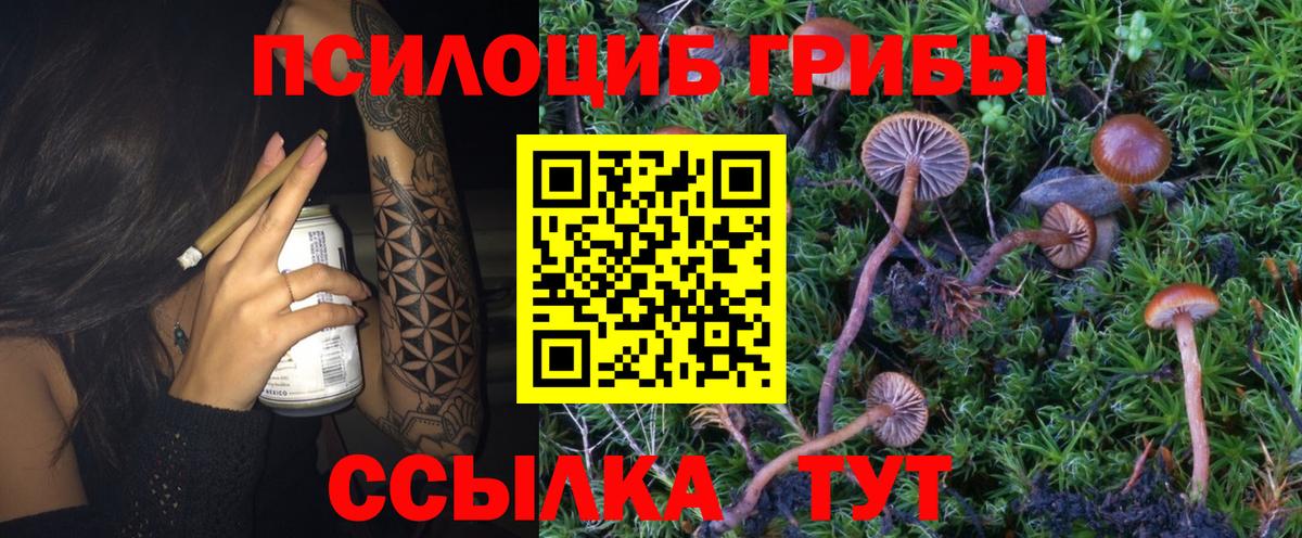 Можайск  купить наркотики цена  Вход с VPN  Псилоцибиновые грибы ЛСД 